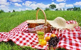 Готовим идеальный пикник: необходимые предметы и советы для незабываемого отдыха на природе купить недорого в Украине, фото 179