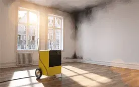 Феномен «капиллярного подсоса» в кирпичной кладке купить недорого в Украине, фото 255