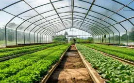 Что делать с теплицей после сбора урожая: как подготовить ее к следующему сезону купить недорого в Украине, фото 276