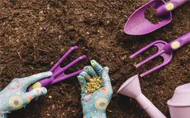 Почему важно разрыхлить и подкормить почву после сбора урожая купить недорого в Украине, фото 279