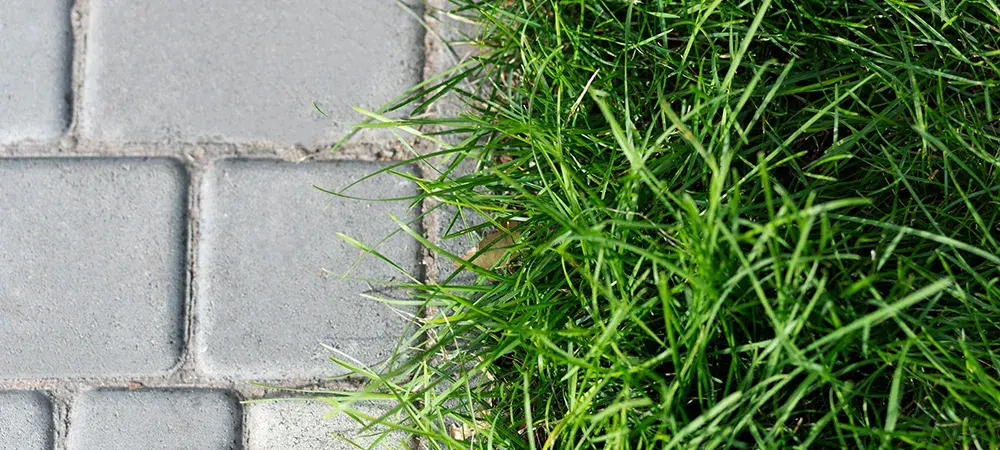 Проседание тротуарной плитки